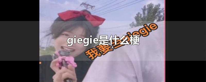 giegie是什么梗什么意思(giegie还是geigei)?