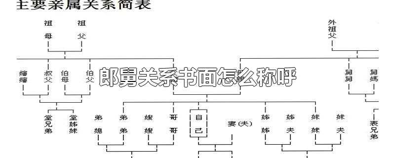 郎舅关系现代称谓_子舅关系的书面称呼