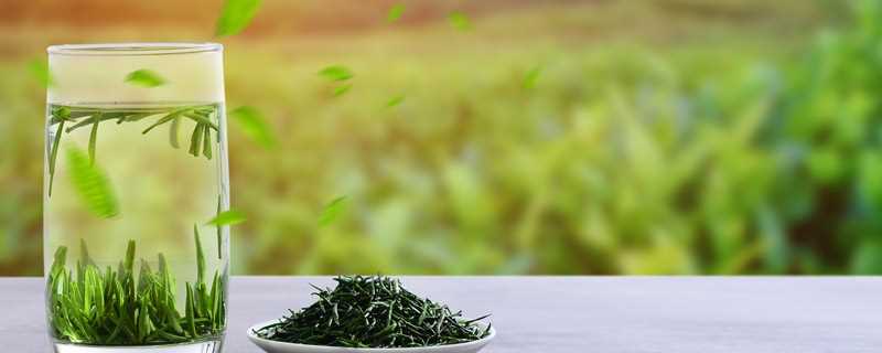 茶叶芽孢是什么