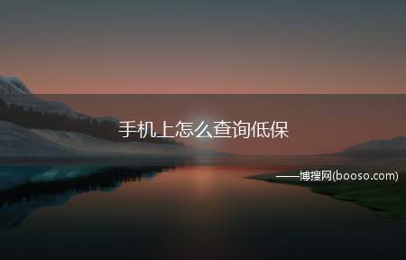 手机上怎么查询低保（演示机型:Iphone 13）