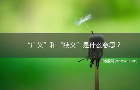 “广义”和“狭义”是什么意思(广义和狭义的区别是什么)