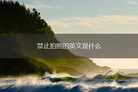 禁止拍照的英文是什么(“禁止拍照”的英文:nophotos)