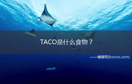 TACO是什么食物？