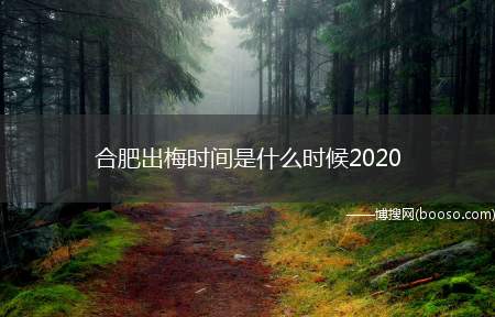 合肥出梅时间是什么时候2020（梅雨:在中国长江中下游地区、中国台湾、日本中南部以及韩国南部）