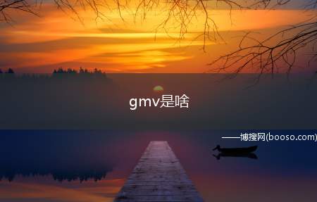 gmv是啥（gmv所指的意思就是网站的成交金额）