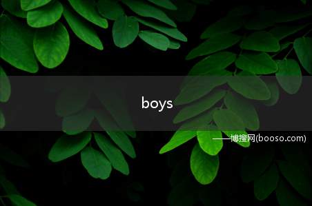 boys（男孩们。boy的中文翻译）