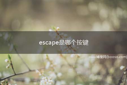 escape是哪个按键（Windows10专业版操作步骤/方法）