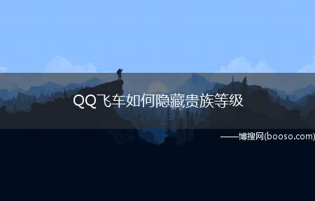 QQ飞车如何隐藏贵族等级