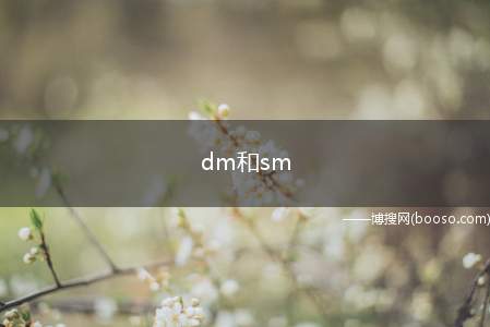 dm和sm（DM与SM:DM指在一个domain中member的比例比较）