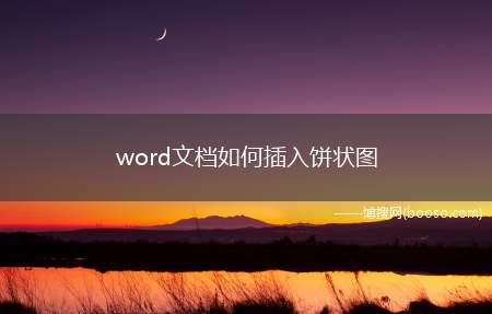 word文档如何插入饼状图（如何插入word文档饼状图）