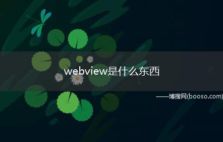 webview是什么东西（WebView是用于展示网络请求后的结果）