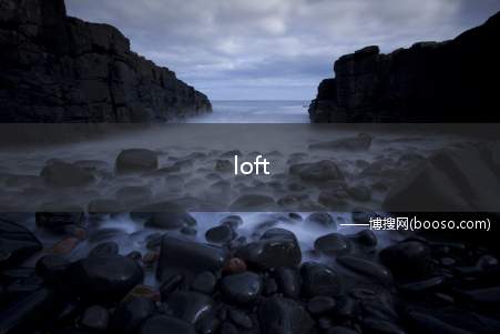 loft（loft在英文中的含义）