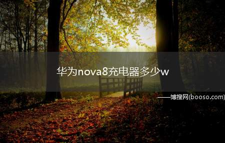 华为nova8充电器多少w（华为nova8最高支持66w的有线快充功能）
