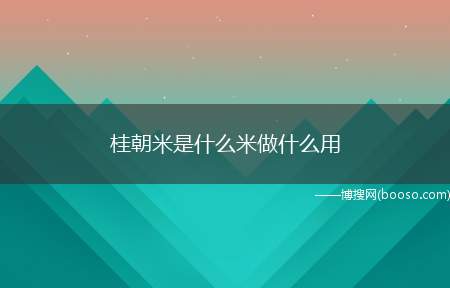 桂朝米是什么米做什么用（桂朝米是籼稻米的一种,主要用来制作米豆腐、河粉、肠粉等）