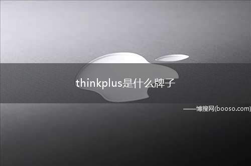 thinkplus是什么牌子（联想thinkplus Pocket口袋全向麦）