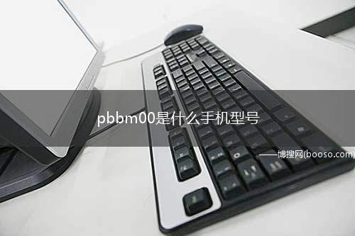 pbbm00是什么手机型号(Android11)