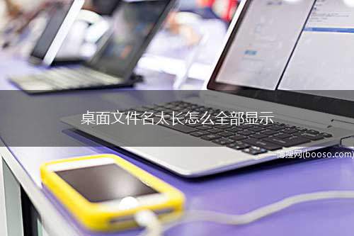 桌面文件名太长怎么全部显示(Windows 10专业版桌面文件名可以通过勾选文件拓展名、)