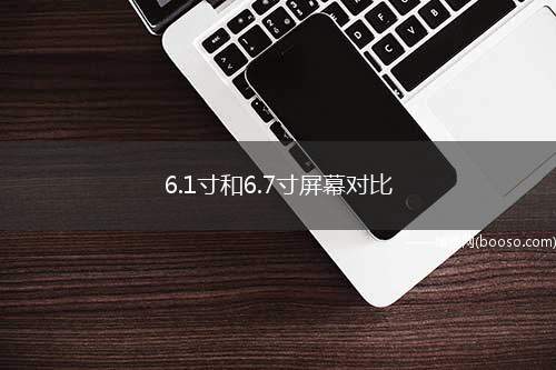 6.1寸和6.7寸屏幕对比