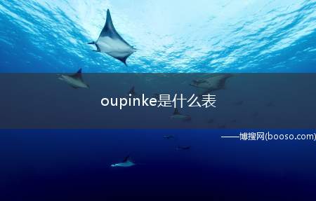 oupinke是什么表