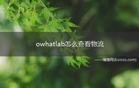 owhatlab怎么查看物流(Owhat)